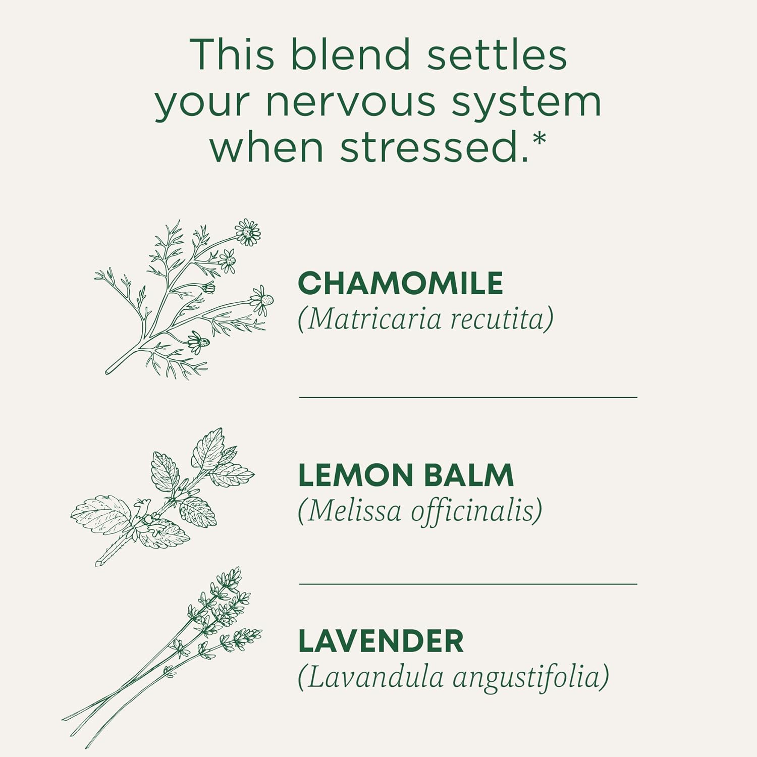 Traditional Medicinals Organikus Kamilla és Levendula Tea - Negyedik részlet
